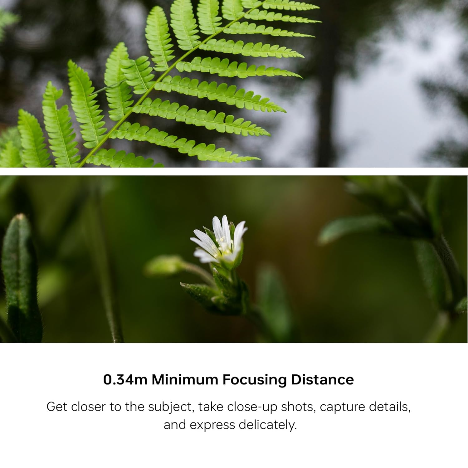 Viltrox AF 40mm F2.5 Full Frame Lens for Sony E-Mount, STM Focus Motor Standard Lens, Compact Prime Lens for Sony Camera a7 a7II a7III a7IV a7R a7RII a7RIII a7RIV a7RV a7S a7SII a7SIII a1 ZV-E1