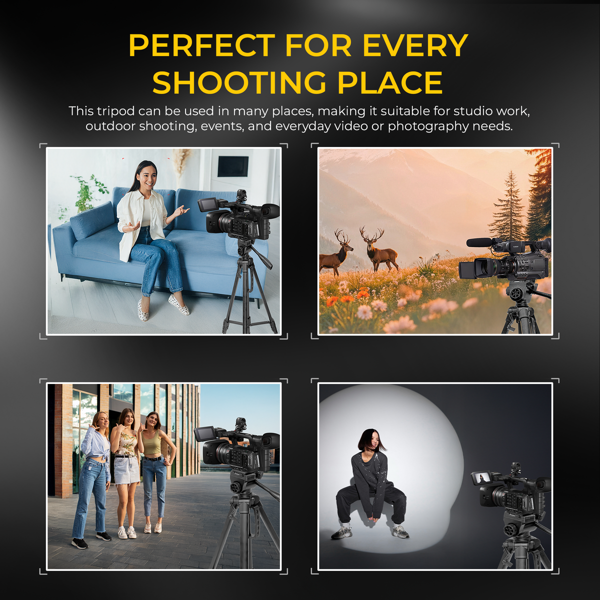 Digitek DTR-585 LW Heavy Duty Tripod Stand for DSLR Camera & Mobile, 1800mm Height, 6kg Load Capacity, 3-Way Pan Head, 360° Rotation, 4-Section Aluminium Tripod with Mobile Holder & Carry Bag