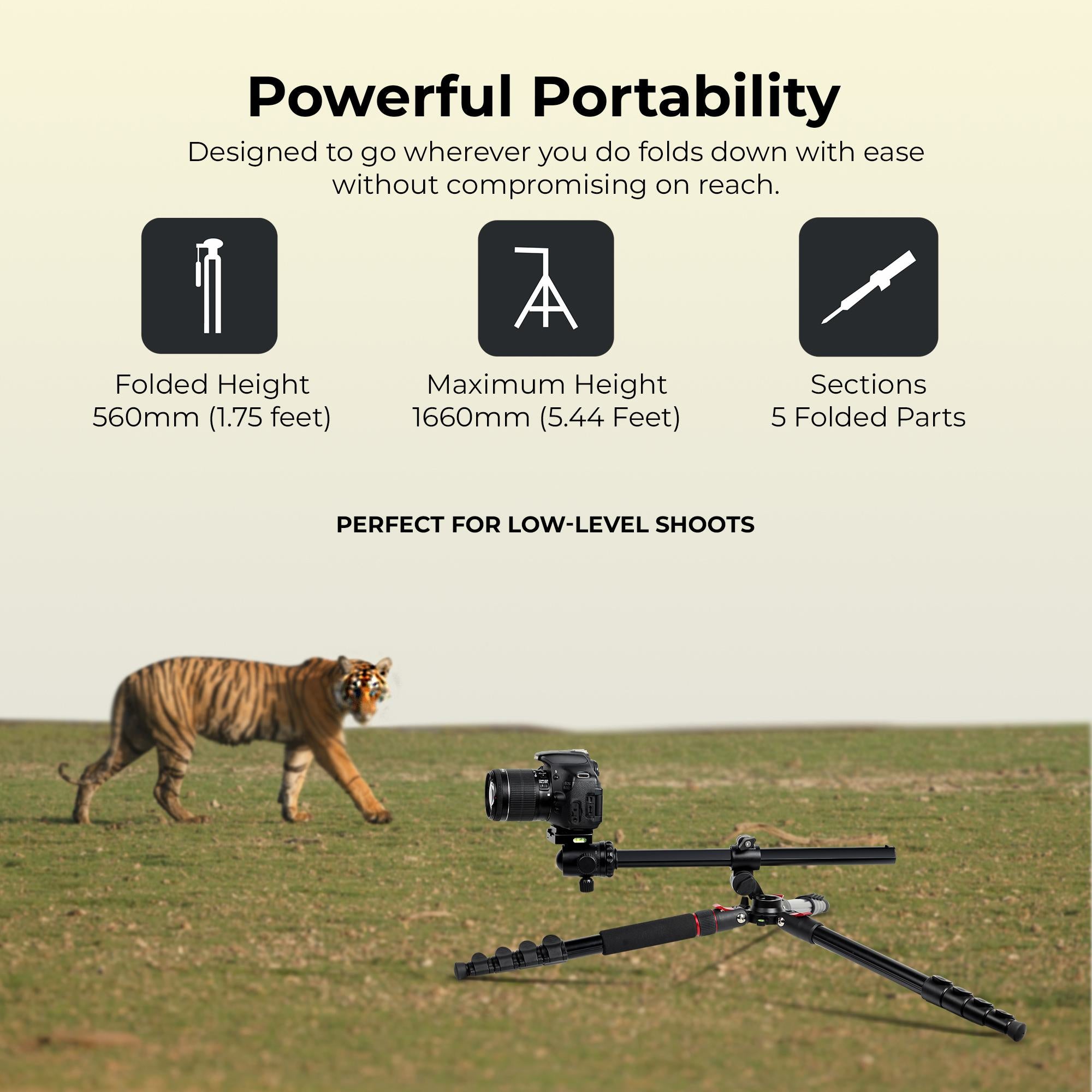 Digitek (DTR 530 BH) Multi-Angle DV Tripod cum Monopod with Ball Head, Quick Release, 5-Section Legs, 5kg Load, 5.44ft Max Height, Ideal for Macro, Panning & Low Angle Photo & Videography