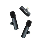 Dual Mic