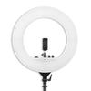 Digitek (DRL 018H) Professional Big LED Ring Light with 2 Color Modes Dimmable Lighting, Photo-shoot, Video shoot, Live Stream, Makeup & more, Compatible with iPhone/ Android Phones & Cameras