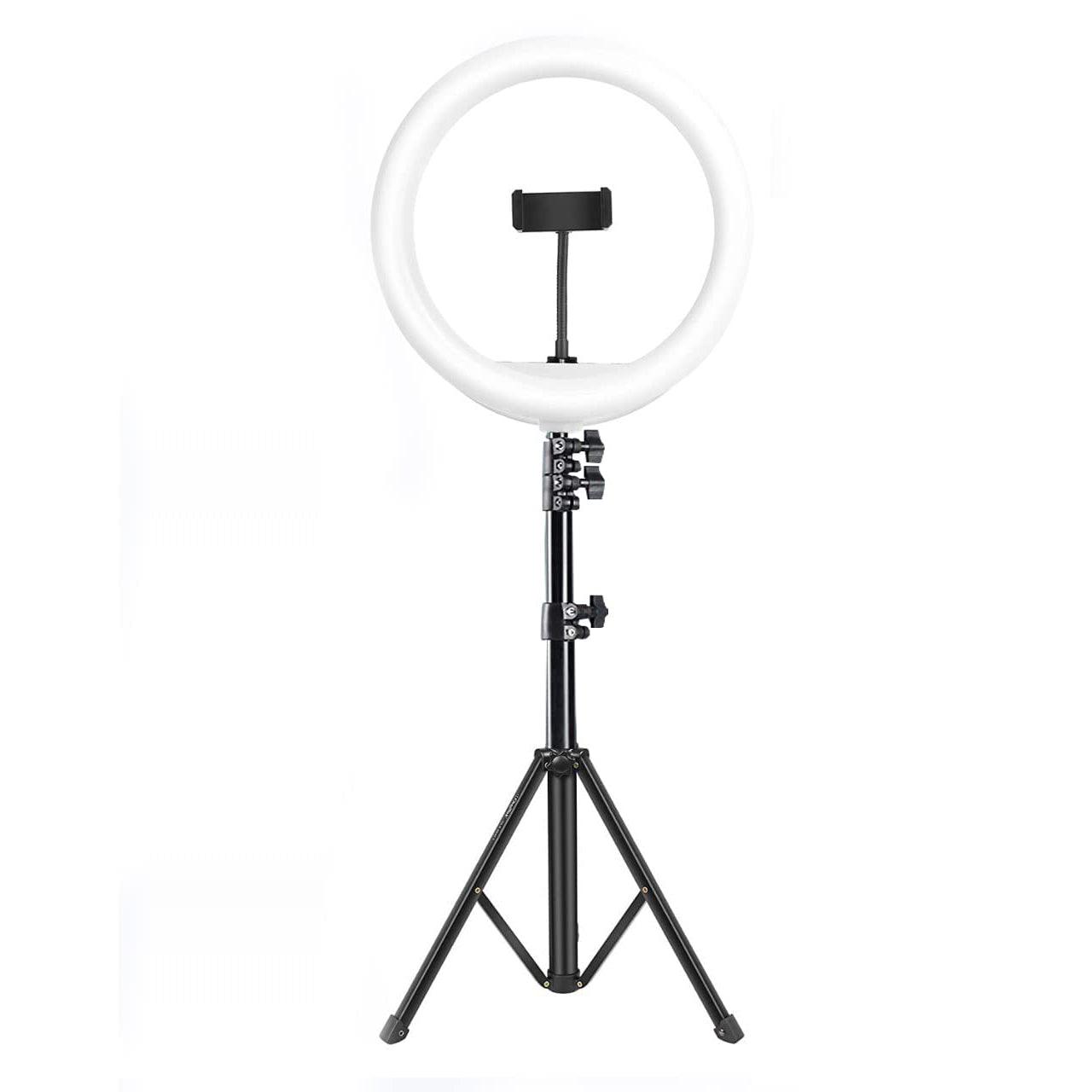 Digitek (DRL-14C) Professional (31cm) Dual Temperature LED Ring Light with Tripod Stand & Mini Tripod for YouTube, Photo-Shoot, Video Shoot, Live Stream, Makeup, Vlogging & More - Digitek