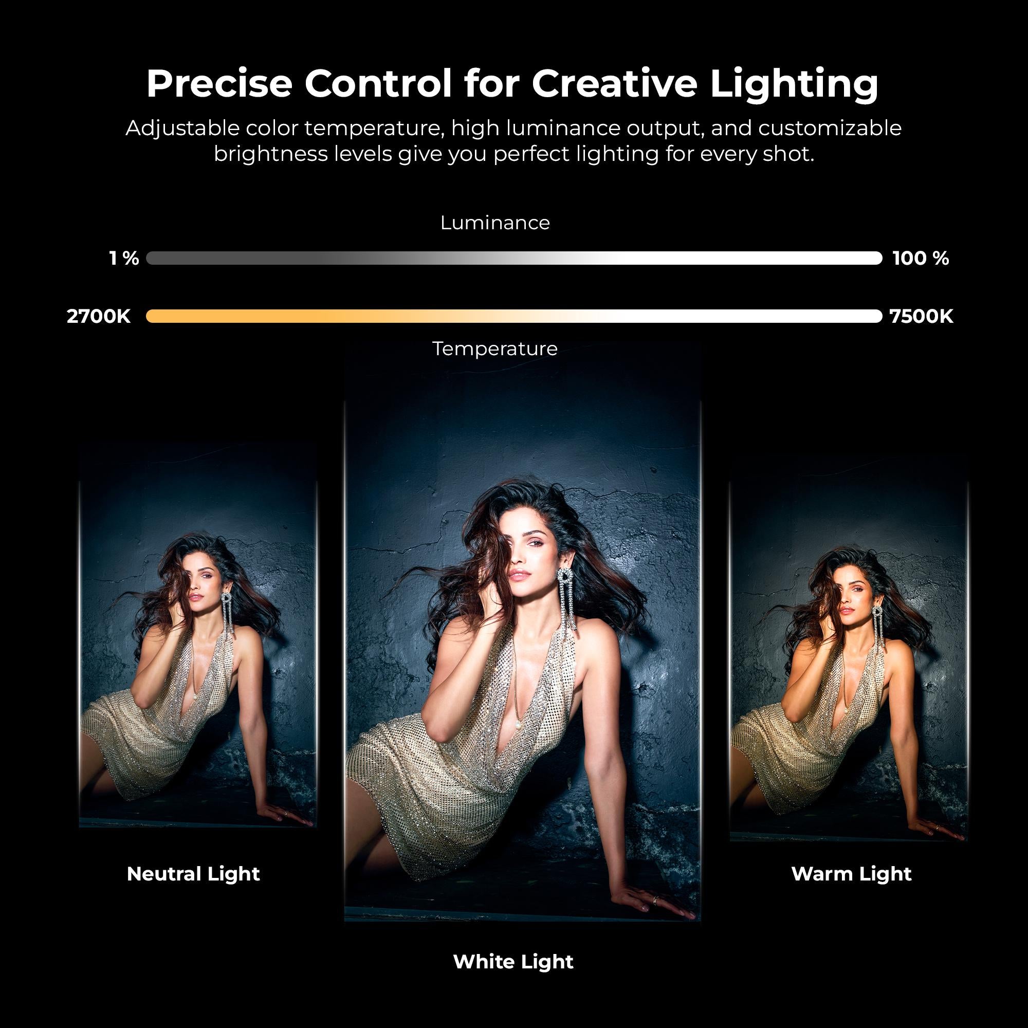 Digitek (LED-D40W RGB) Portable 40W LED Video Light