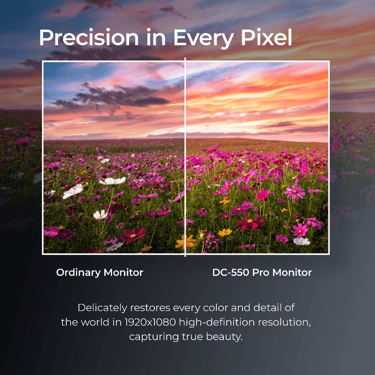 Buy Digitek Viltrox DC-550 Pro 1200nit LCD Director Monitor Online
