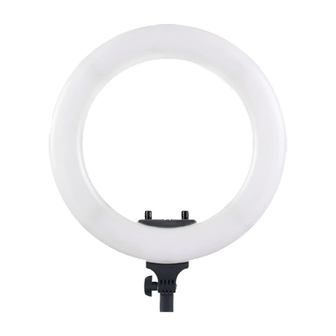 Digitek (DPRL-18) Platinum (Brighter than Normal) Professional Big LED Ring Light 46cm (18inch) with Powerful 432 Pcs SMD LED & 2 Color Temperature for YouTube Streaming, Photo Video shoot, Makeup & more - Digitek